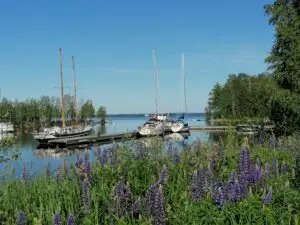 Joensuun satama-aluetta, Pielisjoki