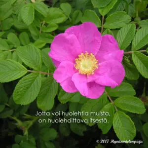 Jotta voi huolehtia muista, on huolehdittava itsestä. - Hyvänmielenpaja